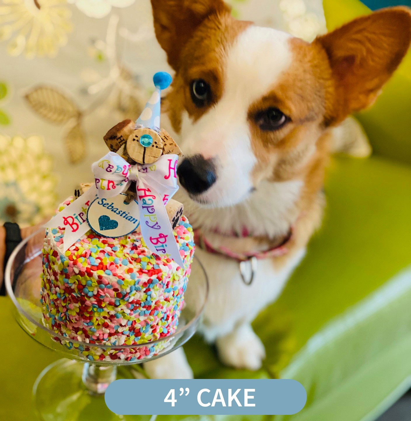 Custom Cakes Houston's Premier Dog Daycare, Boarding