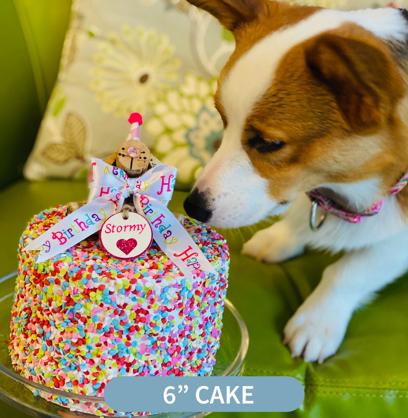 Custom Cakes Houston's Premier Dog Daycare, Boarding
